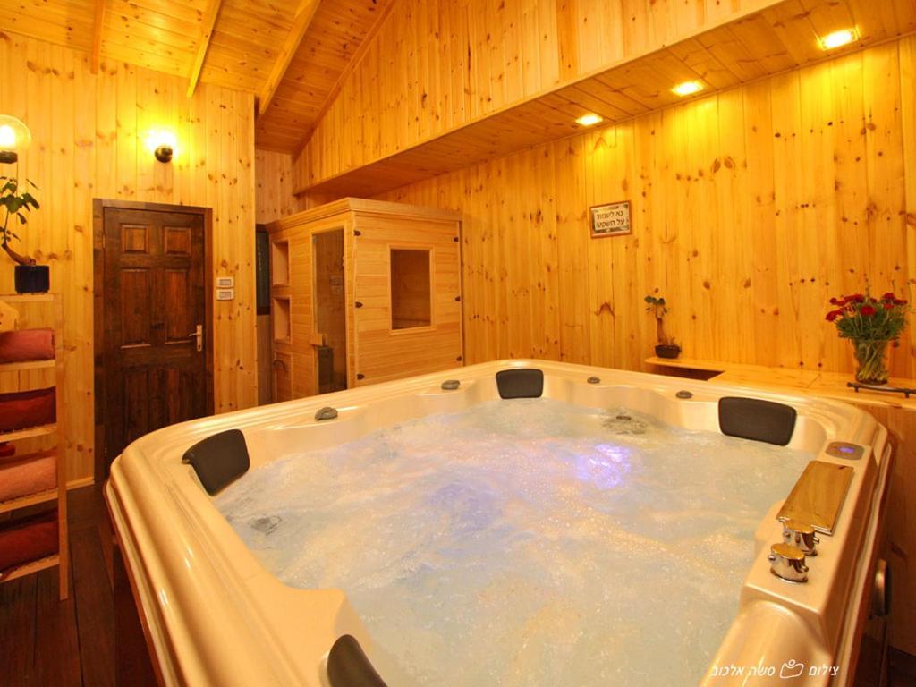 Suites & Spa Galilee 키르얏 셰모나 외부 사진